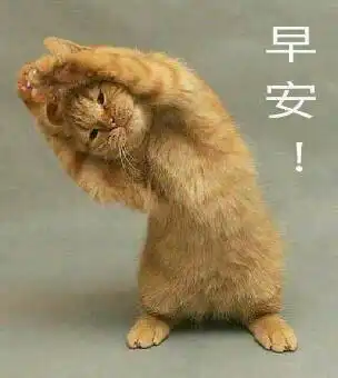  早安表情包合集