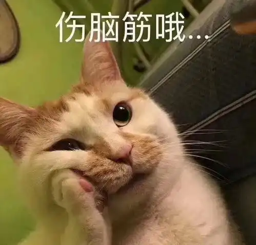  明年滔搏大换血网曝滔搏上中野都要离开,小明朱开即将加盟滔搏