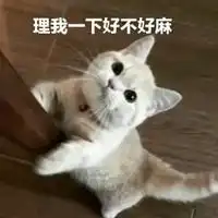  理我一下嘛表情包