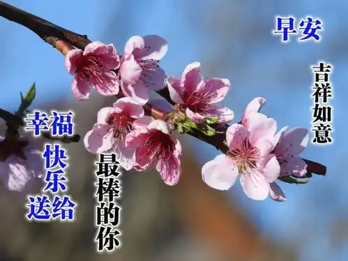 早上好表情包可爱学习