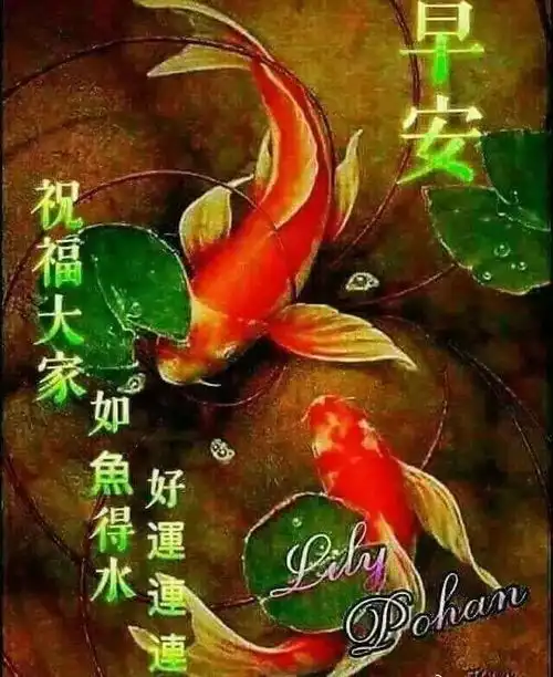  温馨暖心的新版早上好最棒问候语图片,阳光暖心的愈早安祝福语