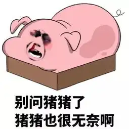  嘉兴猪肉价格为何持续上涨还会上涨吗