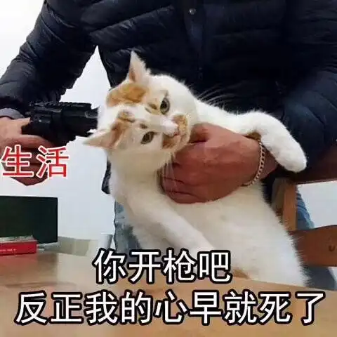  从今天开始,做一个热爱工作的人