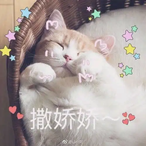 花收藏夹