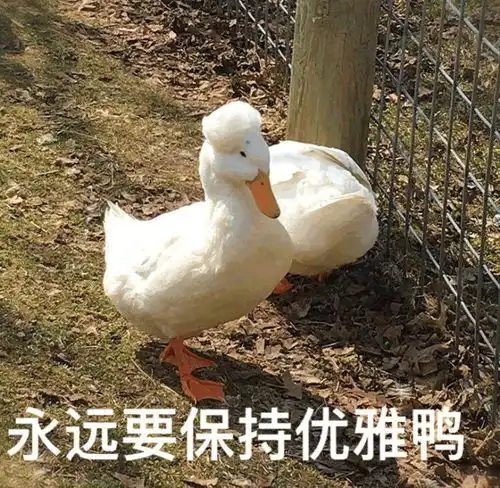  双十一,旅游人的购物车都是什么鬼哈哈哈哈哈哈哈哈哈