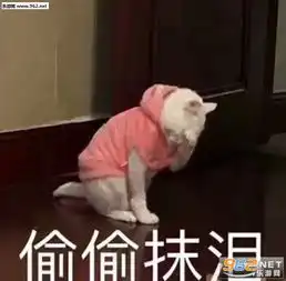  无情浇灭我所有热情表情包图片靓仔出街表情包下载乐游网游戏下载