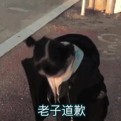  求好看又沙雕的表情包吧