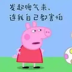  小猪佩奇表情包社会人必备