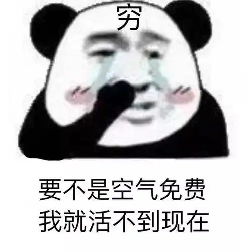 生气熊猫表情包动图罚金