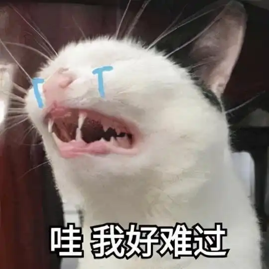 担心表情包猫咪第五人格