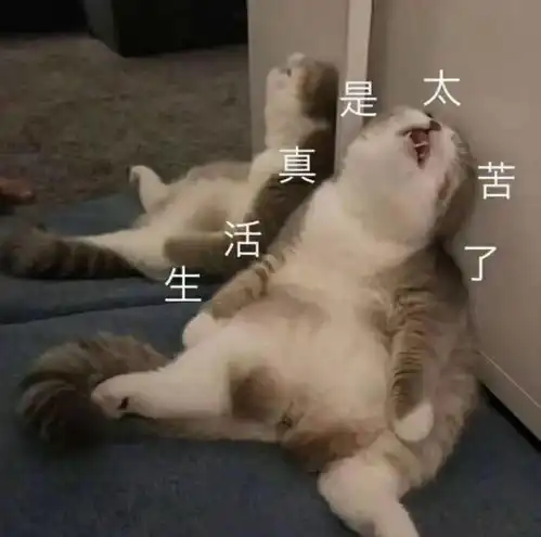  当代青年的感情生活现状