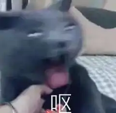  体检最好玩的事发生了,隔着屏幕都感到尴尬