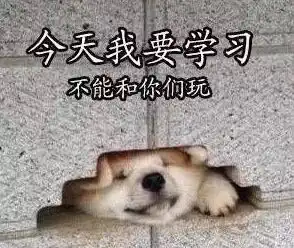  考研前夜,小岱再陪你说说话