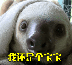  疫情下,你的宅家能力,修炼到第几级了