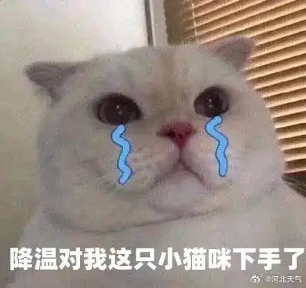  气温实况及变温