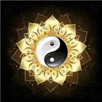 太极全套表情包
