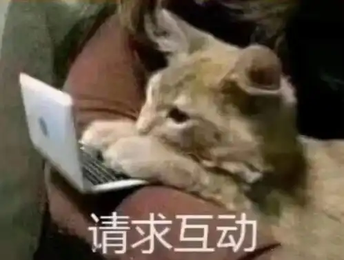  21考研人的寒假应该怎么过