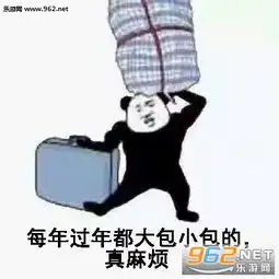  有钱没钱回家过年图片大包小包回家过年的表情包下载乐游网游戏下载