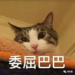  iphonexs刚上市就充不上电,自带美颜磨皮也被骂惨是为啥
