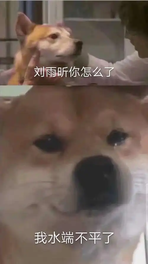 红包表情包微信恶搞猝不