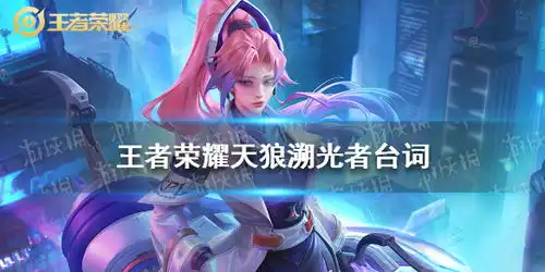 王者荣耀天狼溯光者台词有哪些王者荣耀天狼溯光者台词大全游侠手游 王者荣耀天狼溯光者台词有哪些王者荣耀天狼溯光者台词大全游侠手游