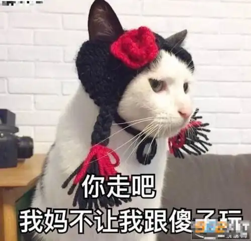  如果你只是想宣泄心中的戾气,吐槽大会这档节目可能不适合你