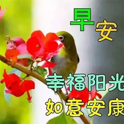藏语问候表情包早晨