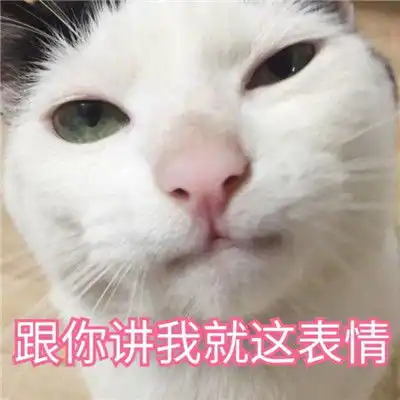  2018猫咪可爱带字搞笑头像qq群头像我从一个小可爱长成大可爱