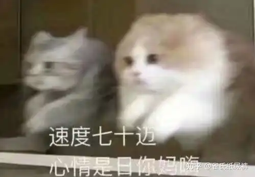 赛丽亚快还钱表情包债主
