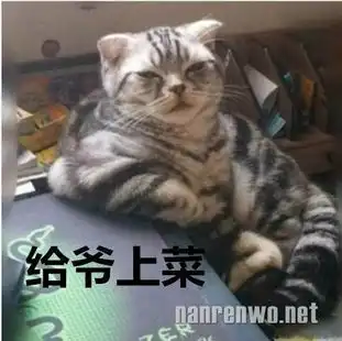 来了老弟表情包搞笑