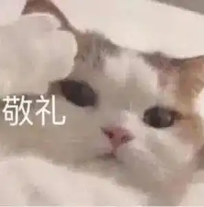  第67期喵表情此猫拉屎中,勿看勿进