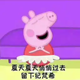 小猪喊到一系列表情包仙