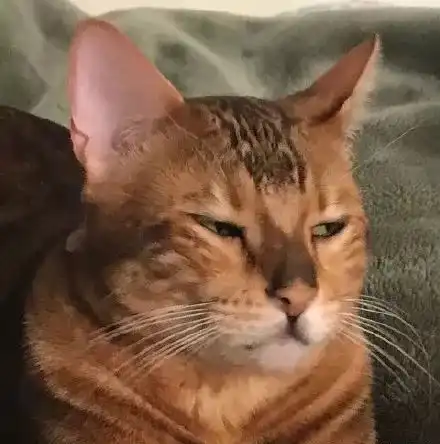  我就想问问拍这些照片的人还活着吗