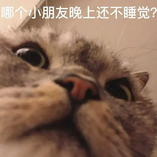 奇奇怪怪的表情包聊天必备