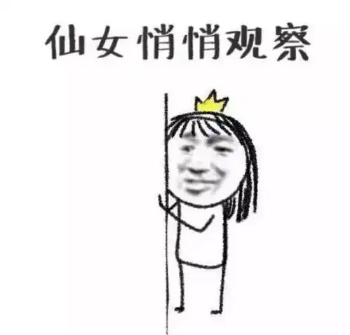 求小饼干表情包大全小仙