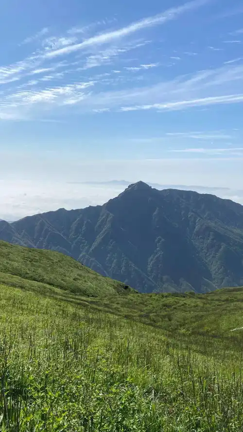 别跑给我看看武功山的草甸,现在究竟有多绿呢 别跑给我看看武功山的草甸,现在究竟有多绿呢