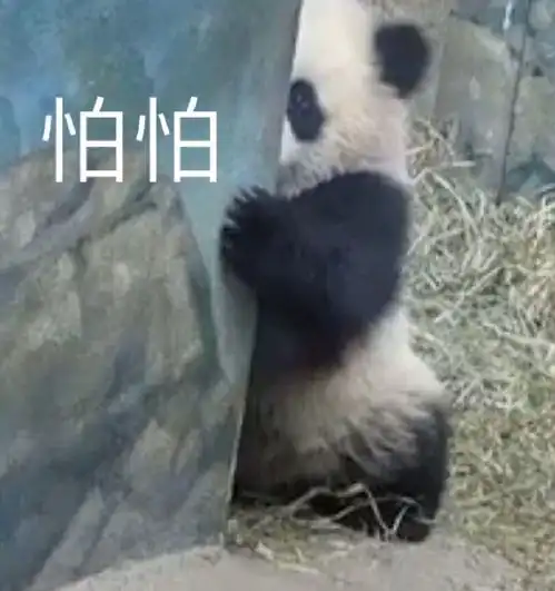  可爱搞笑动物表情包图片,好了不要再说了