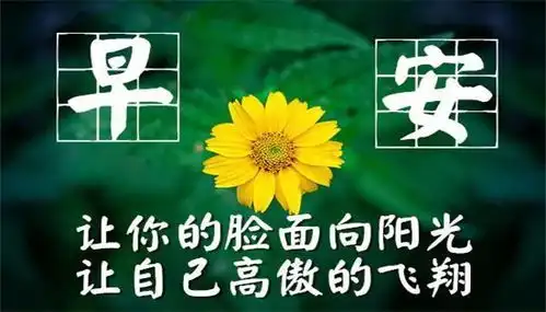  最精辟的人生哲理感悟,经典正能量
