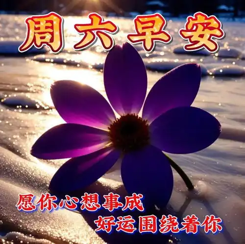  1月27日周六早安祝福语表情图片大全,愿君周末愉快,吉祥安康