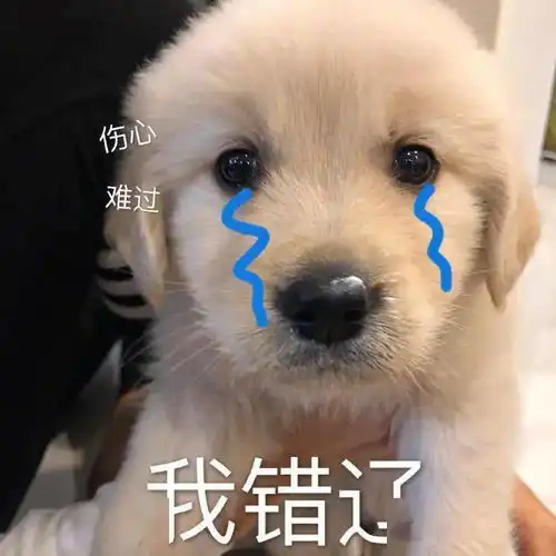  王者和青铜的区别哈哈哈翻车全靠同行衬托