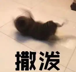  用这些沙雕表情包,说明你是个有趣的人