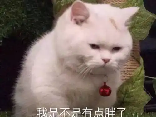 好尴尬啊表情包表情