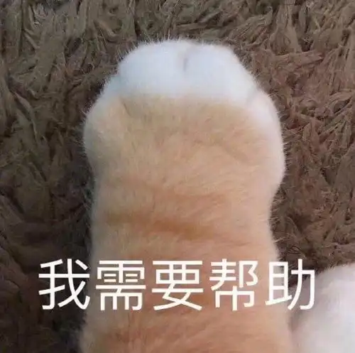 好姐妹表情包沙雕名媛