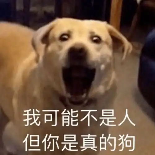  点击看完没有不笑的