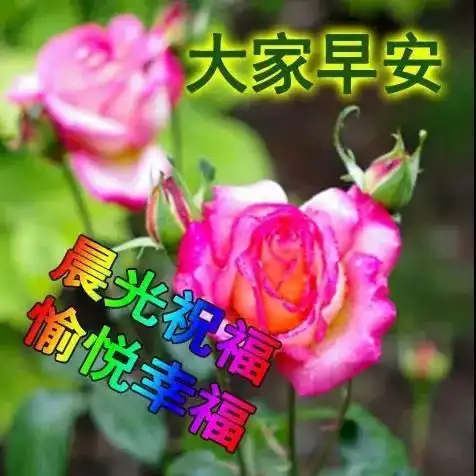 10月27日非常好看早上好动态表情图片大全,早安祝福问候鲜花表情包 10月27日非常好看早上好动态表情图片大全,早安祝福问候鲜花表情包