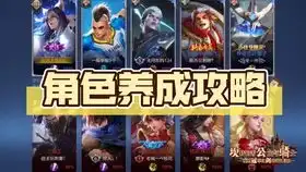  国服第一嫦娥大型七期教程包你学会上荣耀第一期