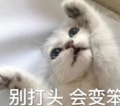  会做这些事的猫咪,说明它的智商真的低,你家占了几个