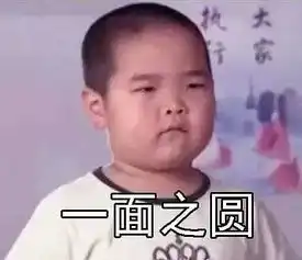 ins表情包动图谢飞机