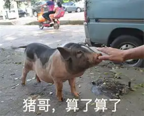  周瑜要嫁给张飞了刘备恐成最大赢家