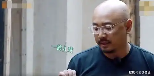  46岁汪涵开启老年人式直播,不懂包邮什么意思,还被认成徐峥